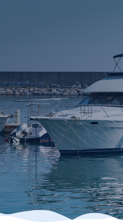 Marina with moored yachts